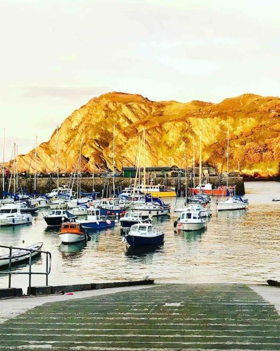 Paramount Apartments Ilfracombe, Arty Seaside Holiday Apartments 外观 照片