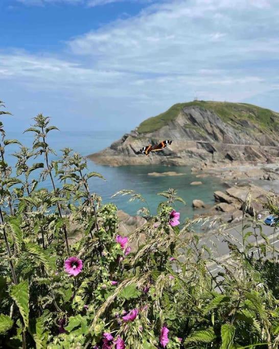 Paramount Apartments Ilfracombe, Arty Seaside Holiday Apartments 外观 照片
